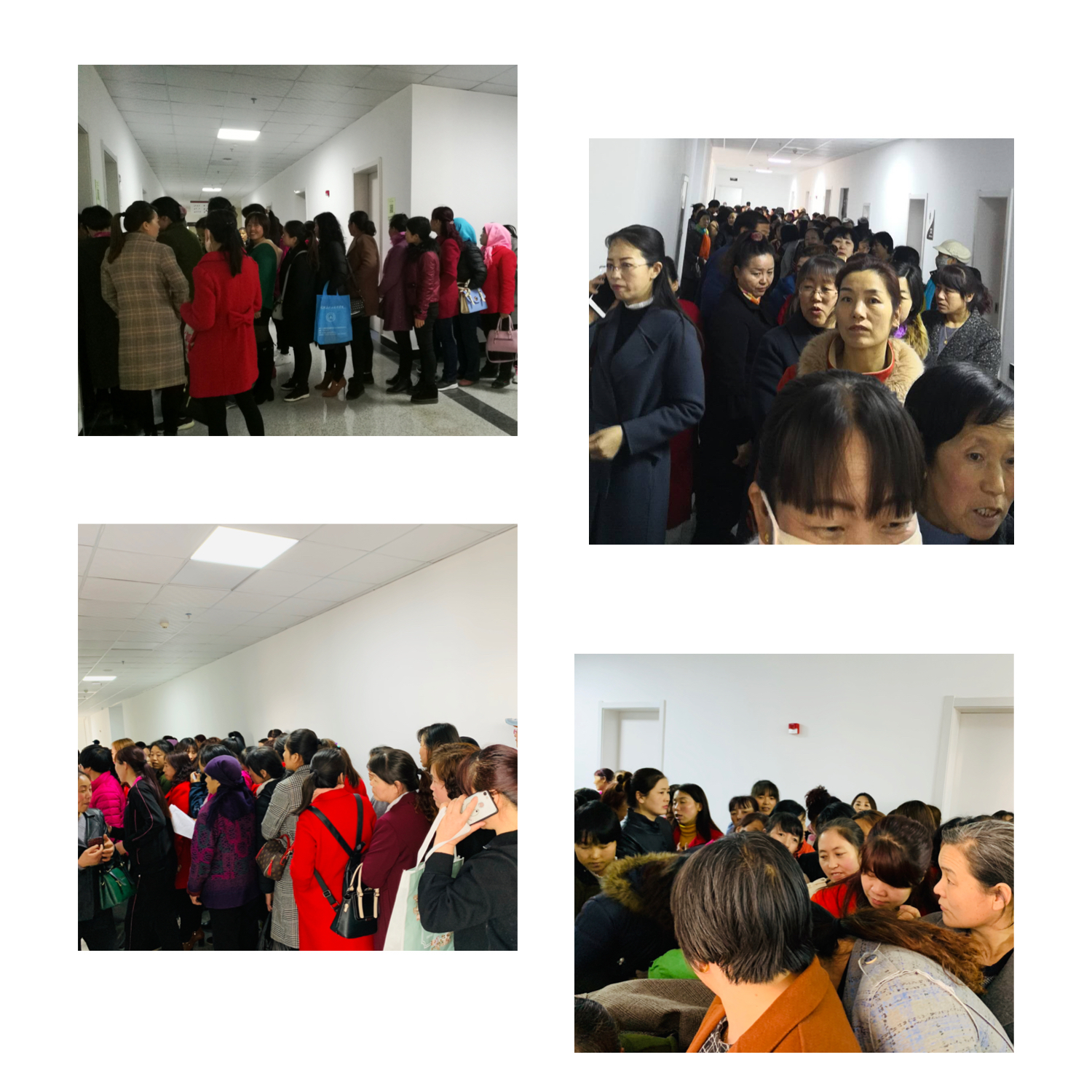 1553524943746461.jpg 1553524943746461.jpg