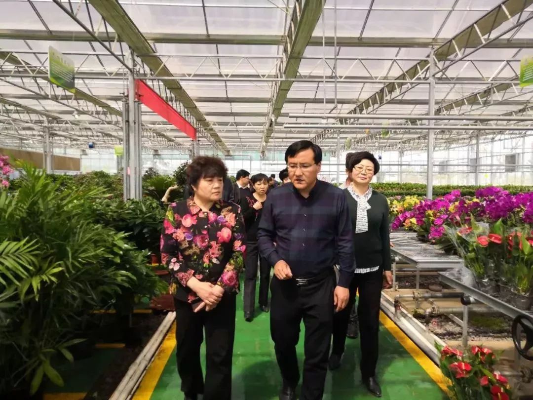 1555037796392815.jpeg 1555037796392815.jpeg