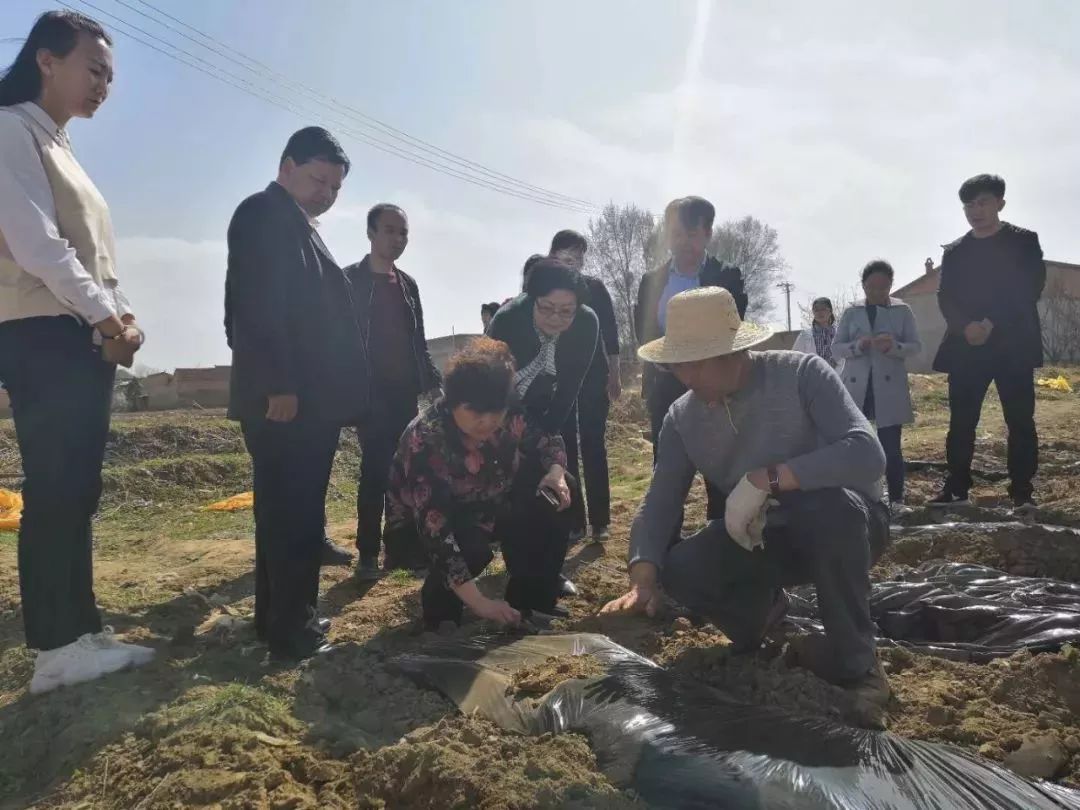 1555038110710587.jpeg 1555038110710587.jpeg