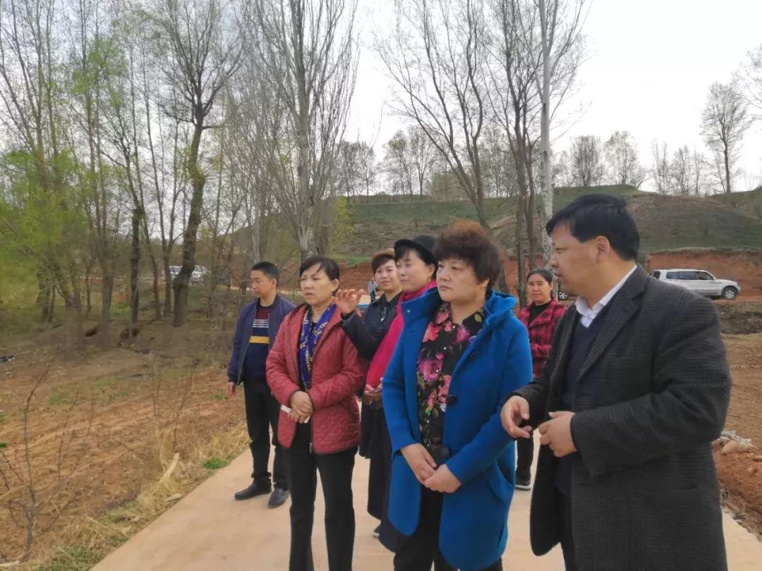 1555038231168536.jpeg 1555038231168536.jpeg