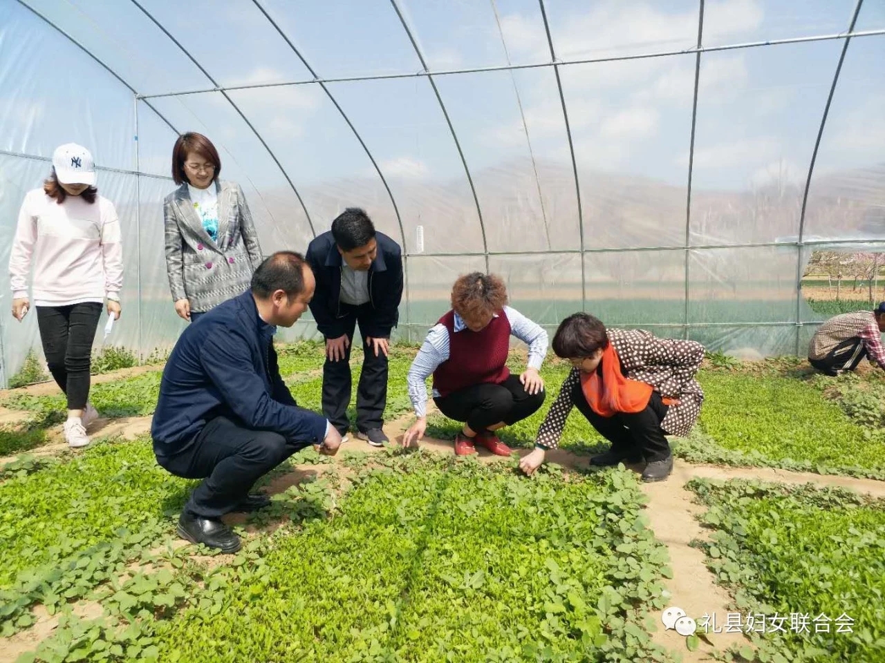 1555123510241487.jpg 1555123510241487.jpg