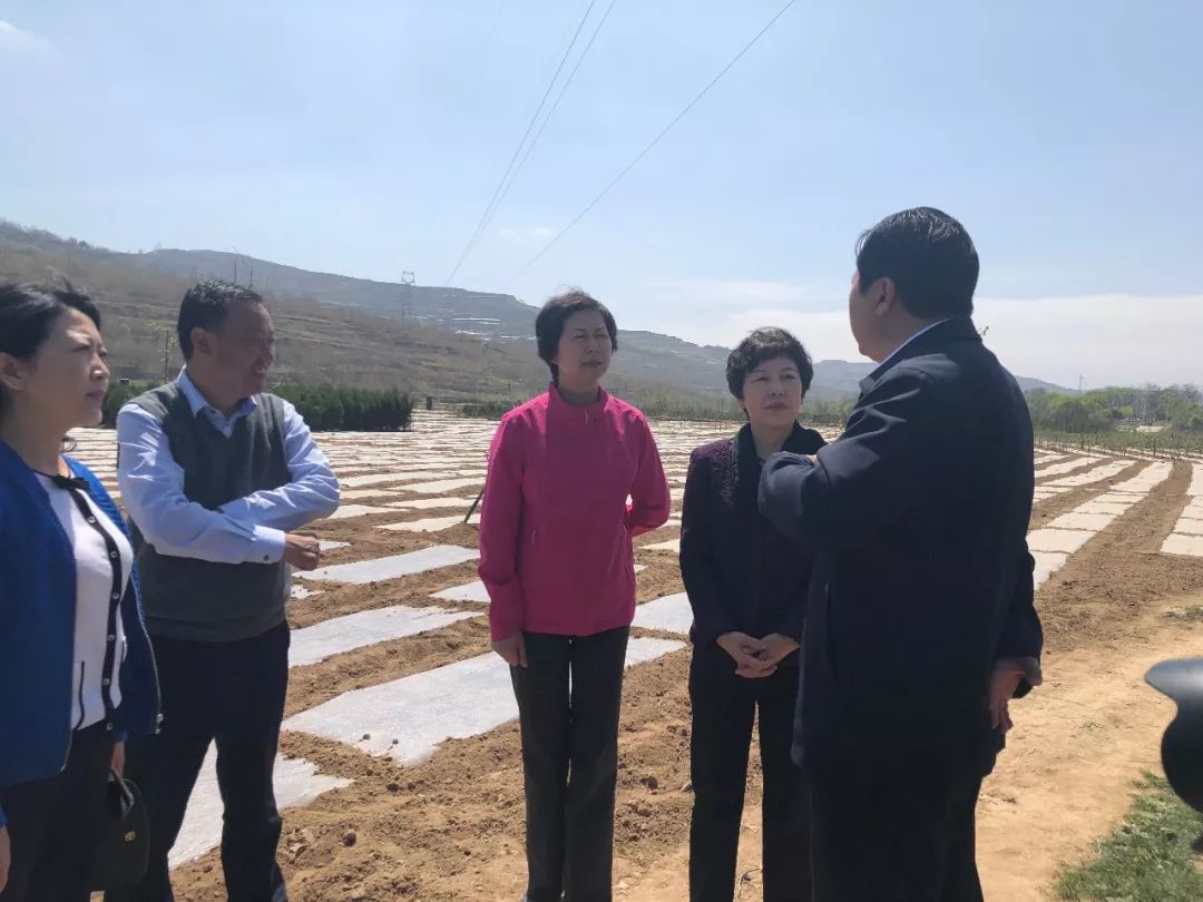 1556256255969952.jpeg 1556256255969952.jpeg