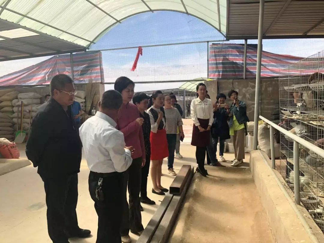 1556257469415229.jpeg 1556257469415229.jpeg