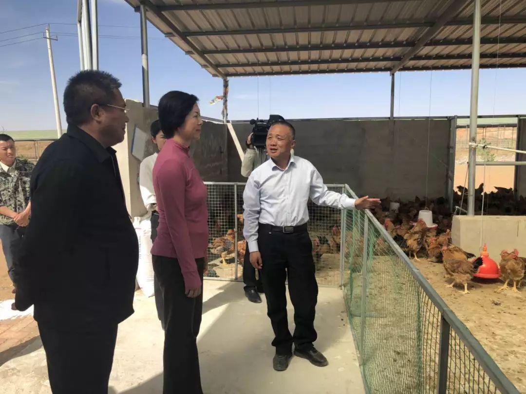 1556257469762374.jpeg 1556257469762374.jpeg