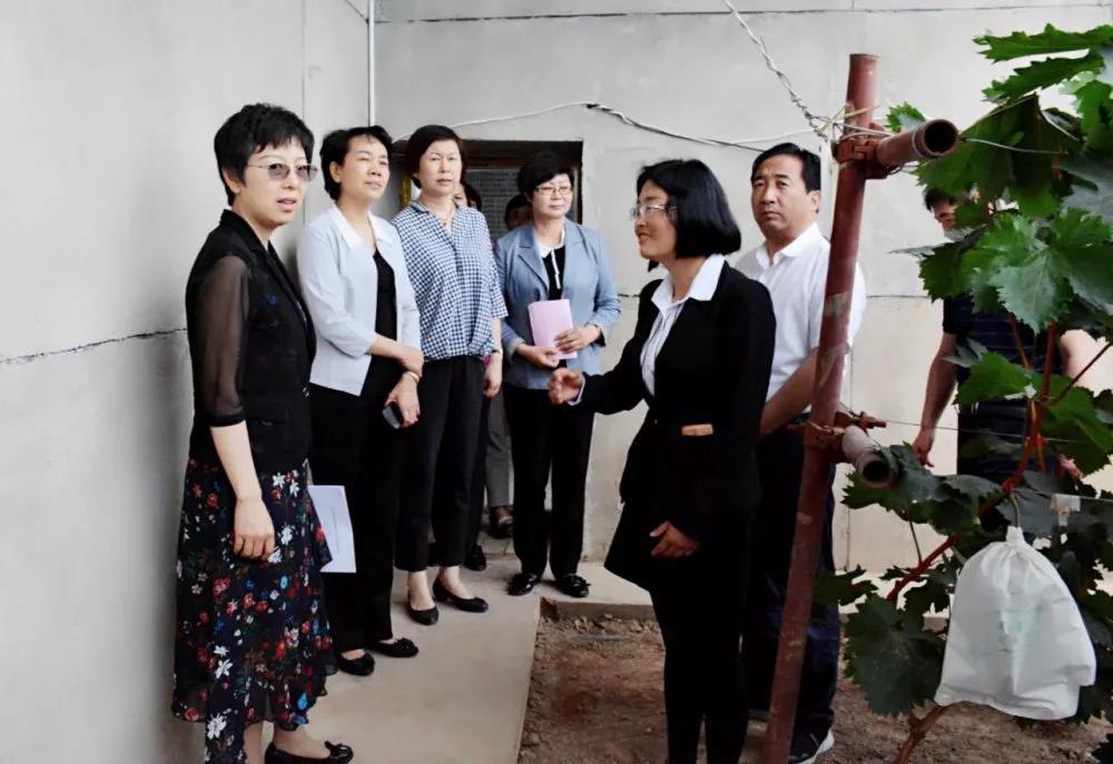 1562300399758381.jpg 1562300399758381.jpg