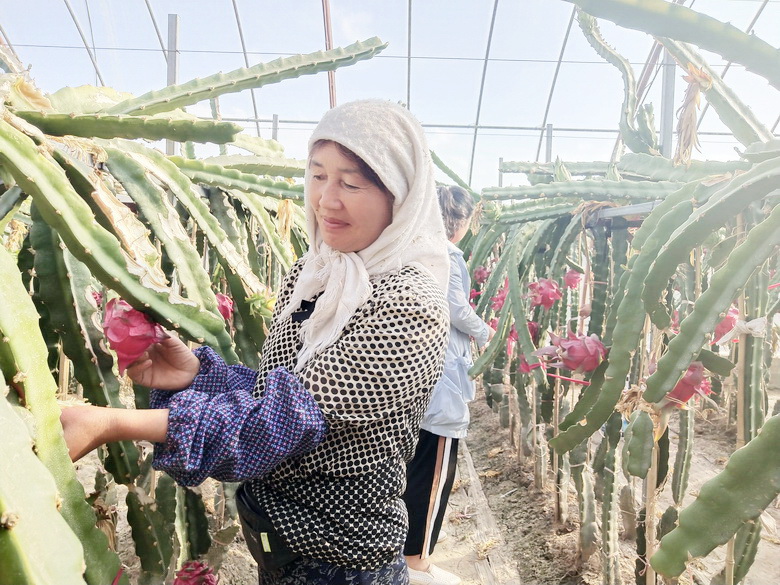 1570588278843418.jpg 05.jpg