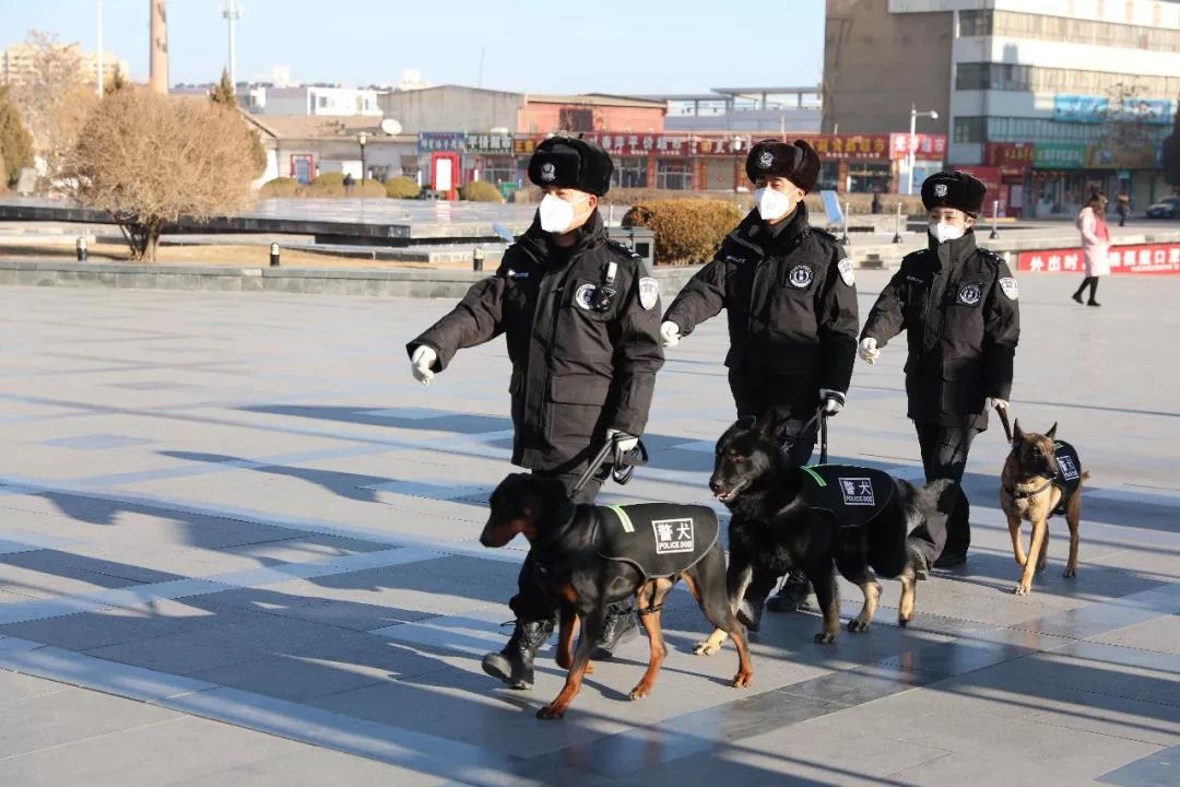 1580375143185557.jpg 微信图片_20200130170153.jpg