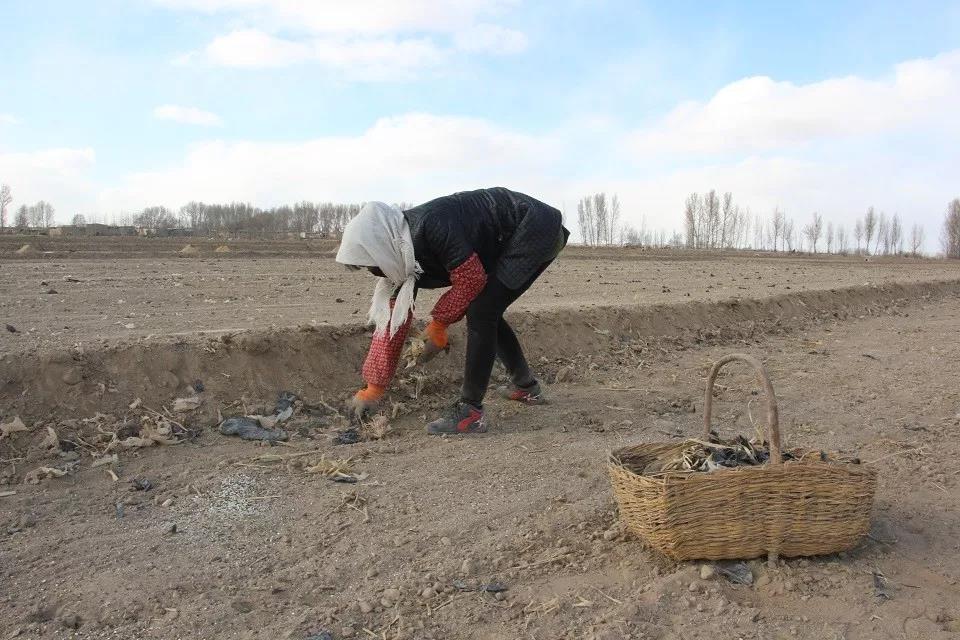 1581998611733896.jpg 微信图片_20200218120153.jpg