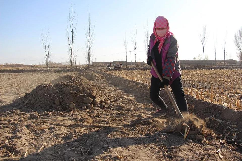 1581998616532019.jpg 微信图片_20200218120155.jpg