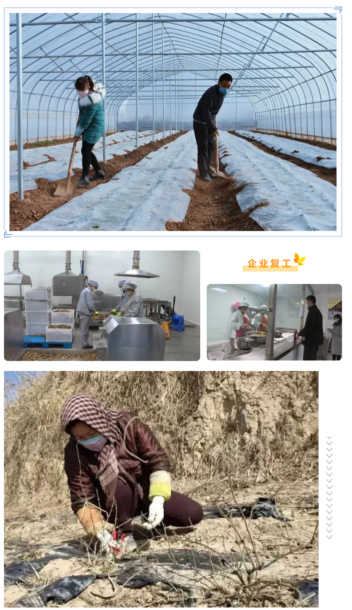 1582545602726173.jpg 1582543660(1).jpg