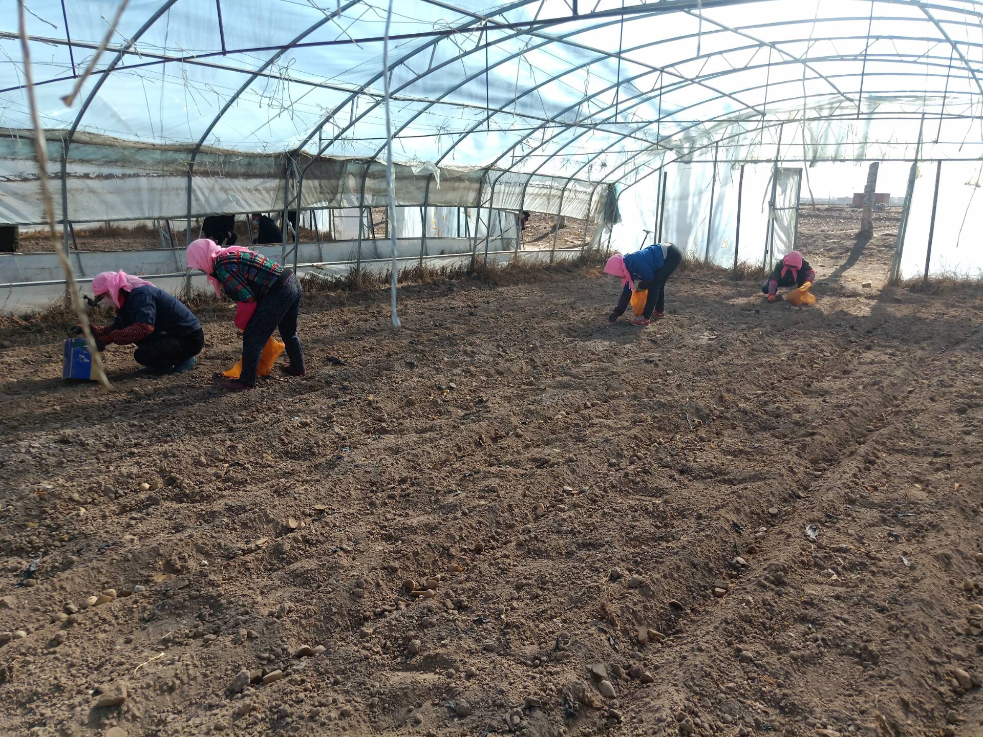 1582616989878181.jpg QQ图片20200225154915.jpg