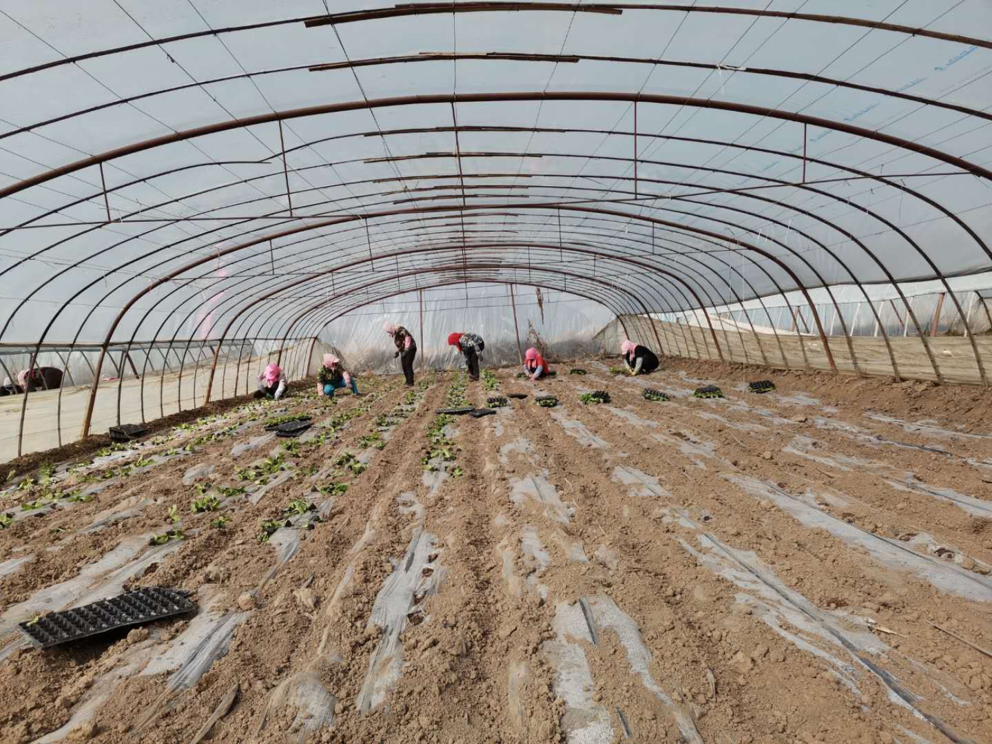 1582617003987992.jpg QQ图片20200225154909.jpg