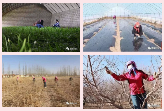 1582683588205319.png E9VIH1}%B2U()