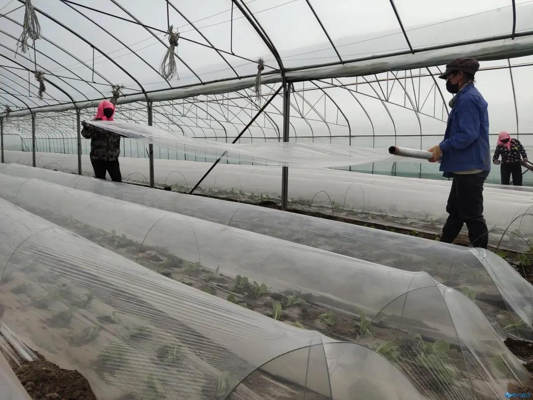 1584089150278932.jpg 1584089150278932.jpg