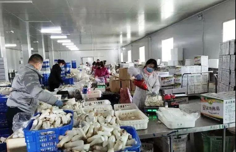 1584089166124000.jpg 微信图片_20200313155543.jpg