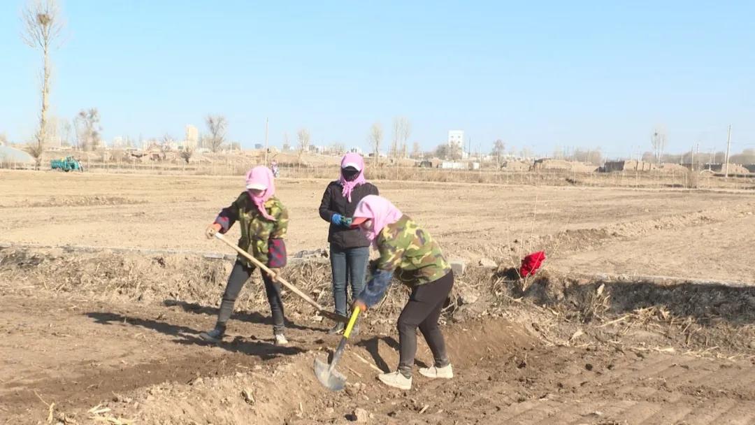 1584089271977409.jpg 微信图片_20200313160040.jpg