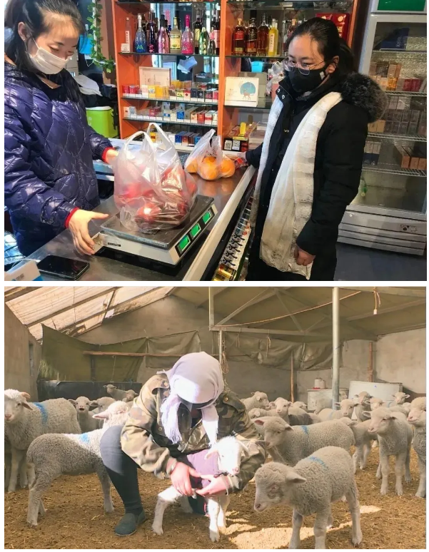 1584089345431761.jpg 1584086517(1).jpg