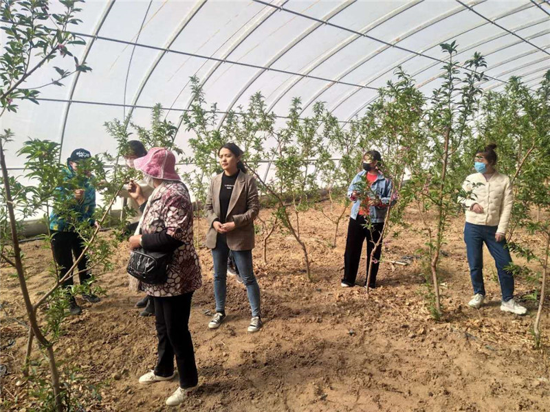 1585882185358984.jpg lADPD3zUJJsNZrXNA8DNBQA_1280_960.jpg