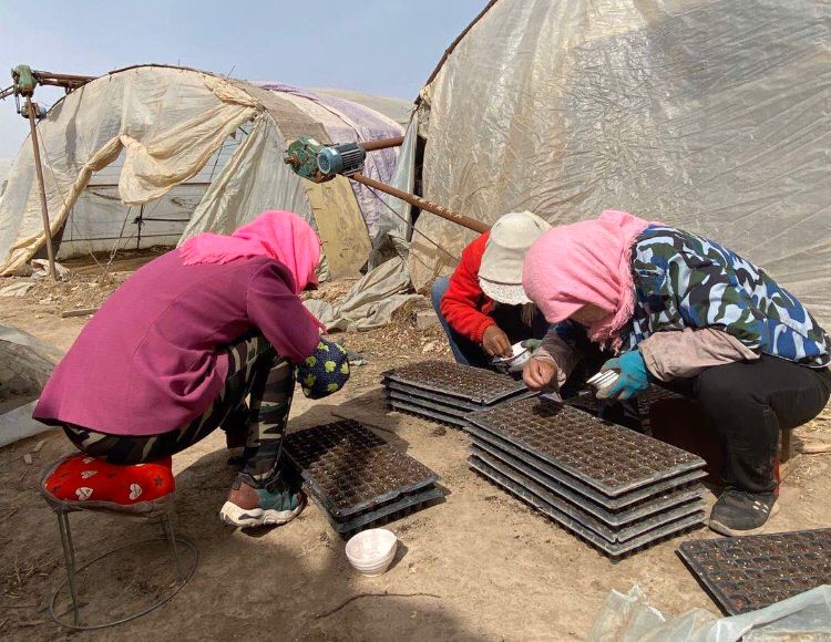 1585896580775906.jpg 1585896580775906.jpg