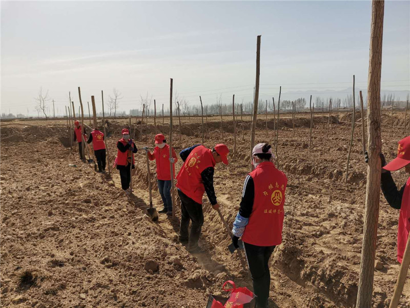 1586404342699399.jpg mmexport1586402887067.jpg