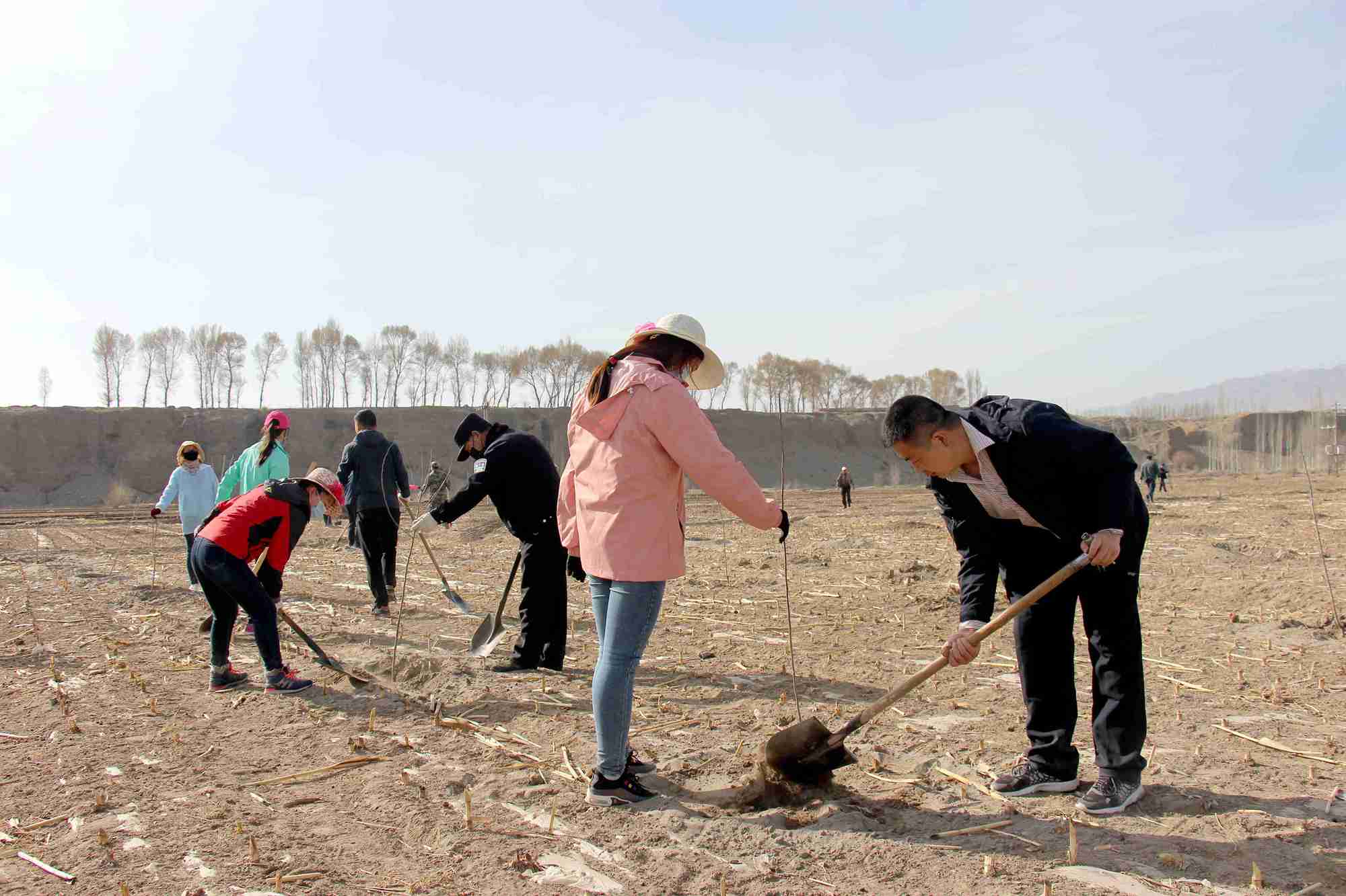 1586505067701223.jpg 植树造林6_副本.jpg