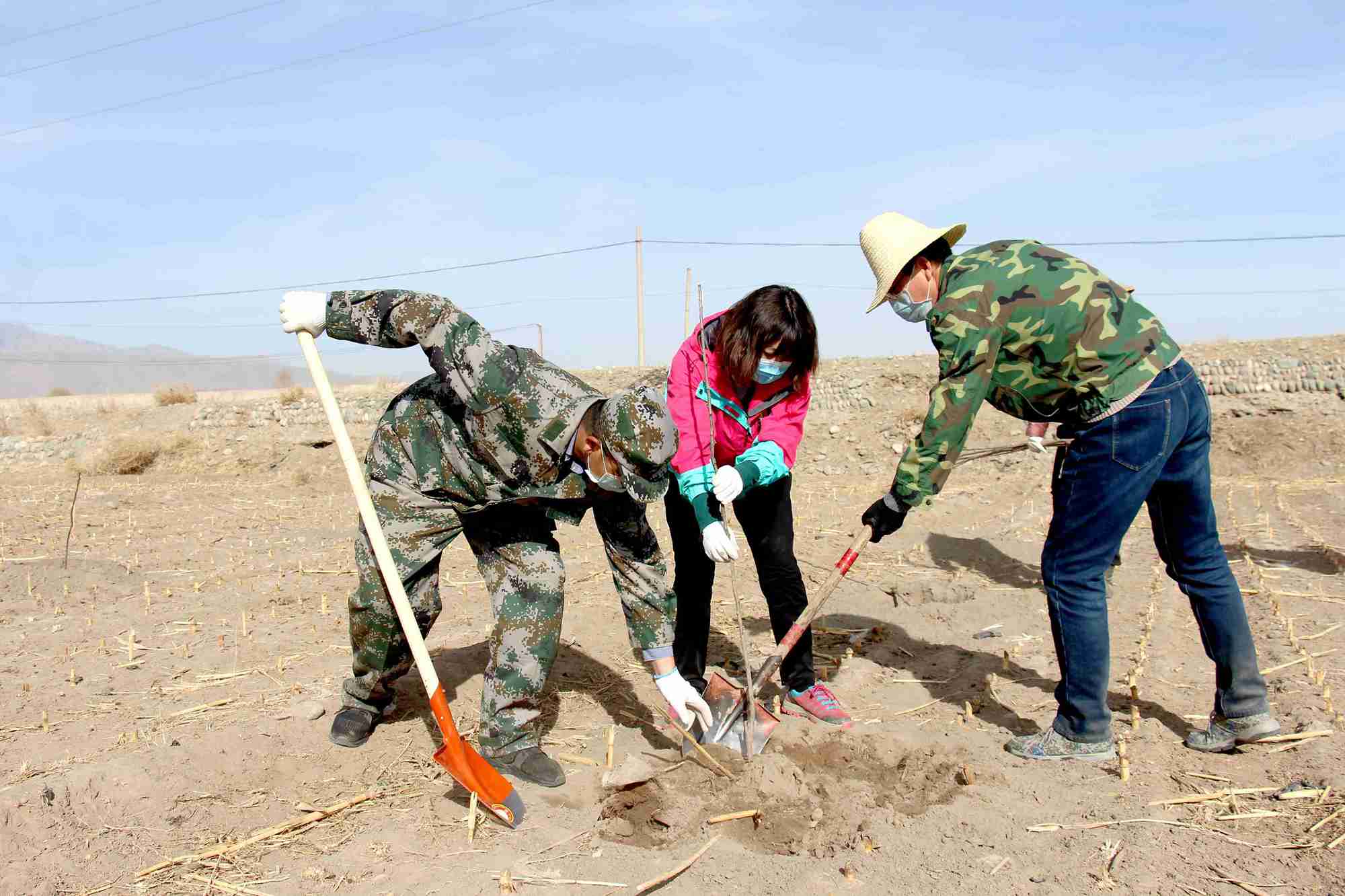 1586505071731894.jpg 植树造林4_副本.jpg