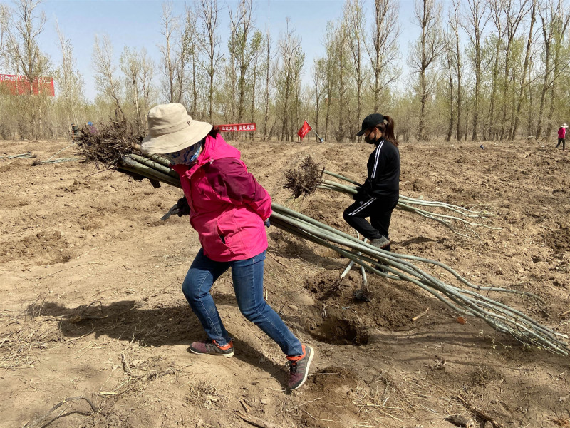 1587440425124914.jpg 1587440425124914.jpg