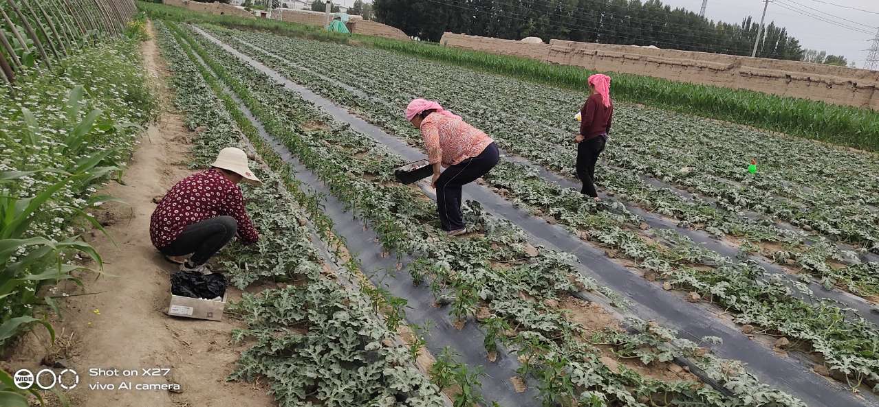 1592302022268860.jpg 1592302022268860.jpg