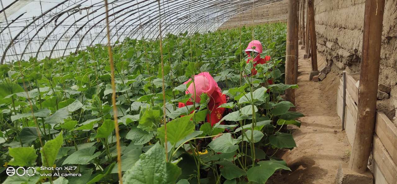 1592302123406502.jpg 1592302123406502.jpg