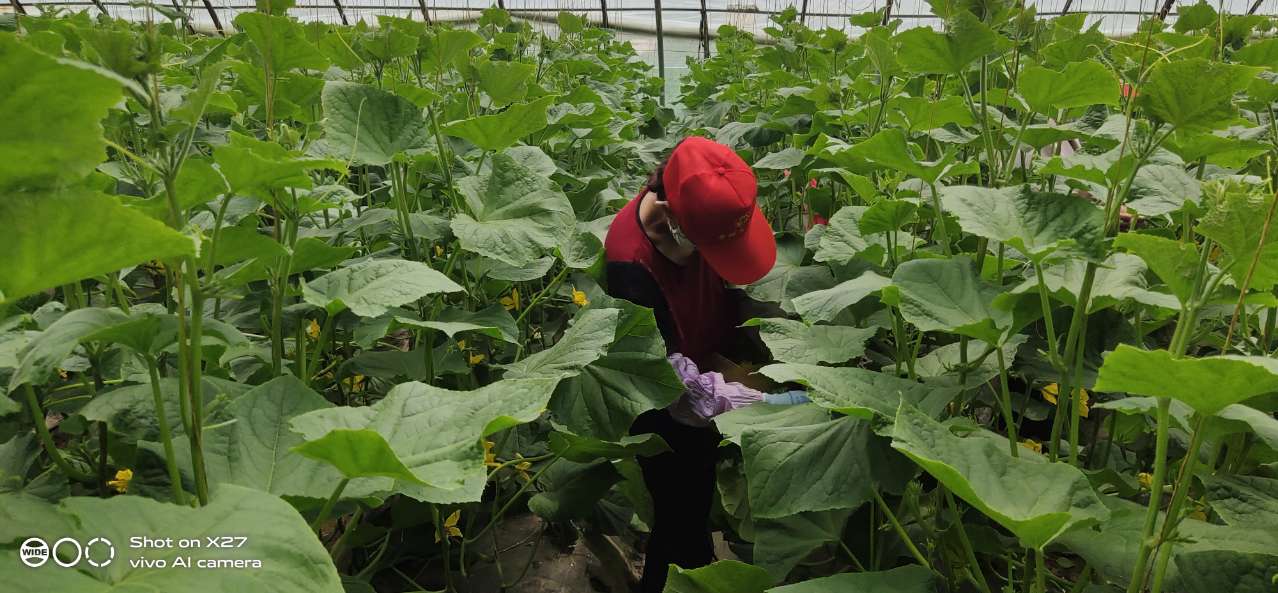 1592302351416275.jpg 1592302351416275.jpg