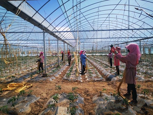 1592465363750448.jpg 6372780919524242357249863.jpg