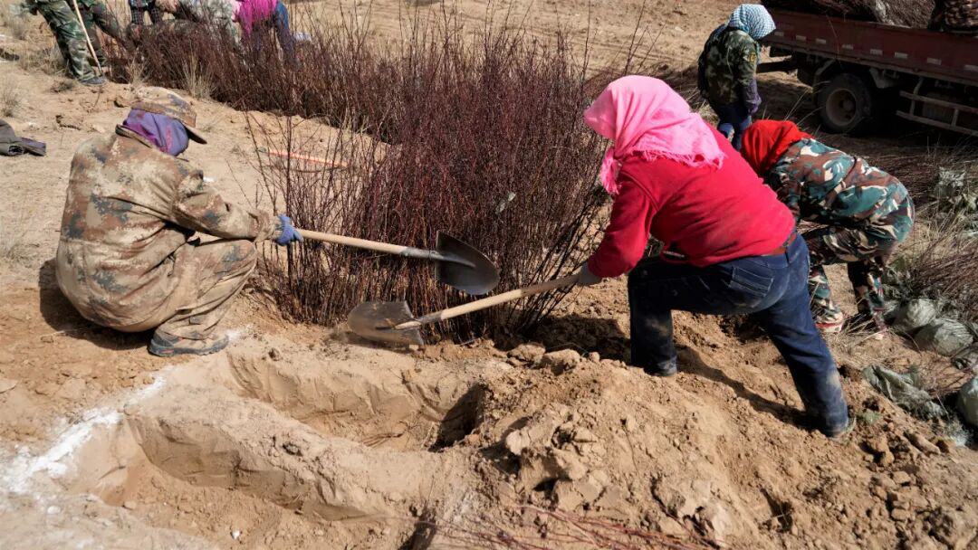 1592873319936679.png 图片4.png