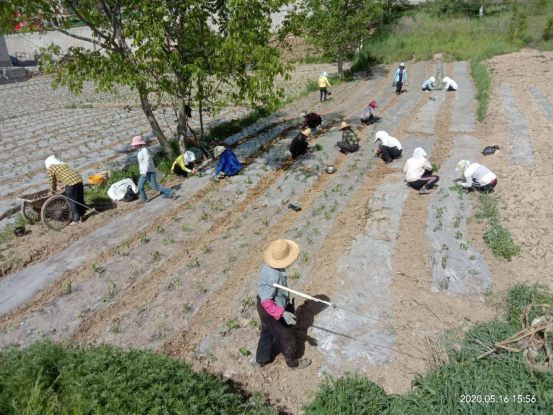 1592896155262915.png 图片.png