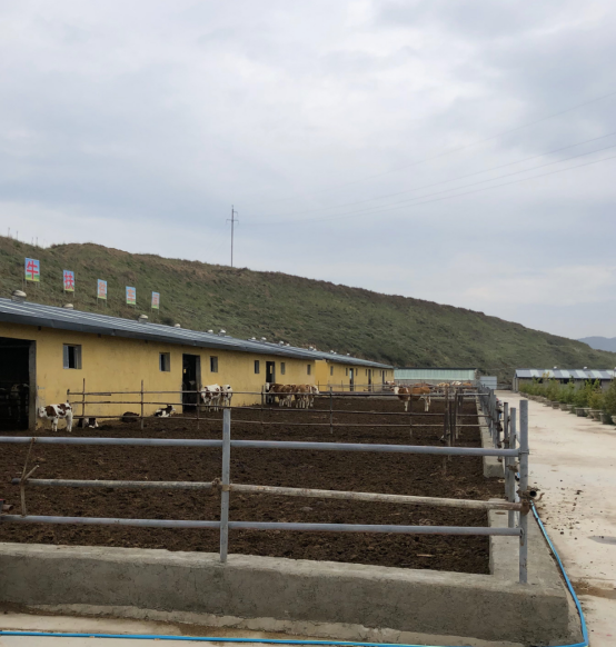 1592897269297835.png 图片.png