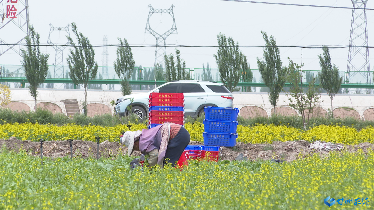 1592903620172563.png 6372741429116330866399423.png