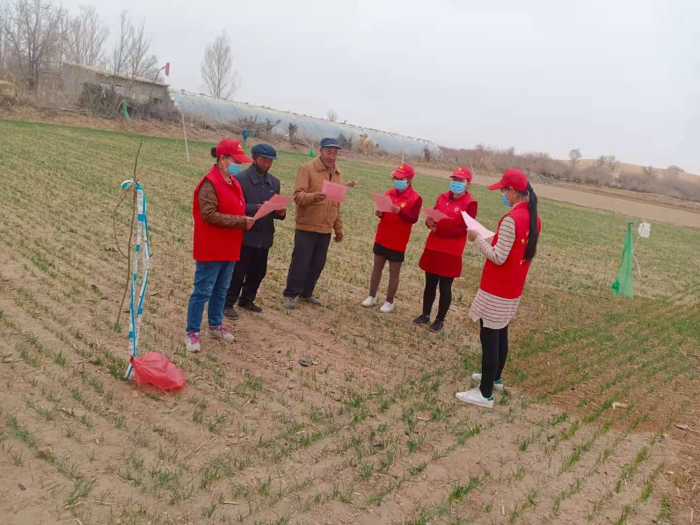 1617177844857923.jpg 5.jpg