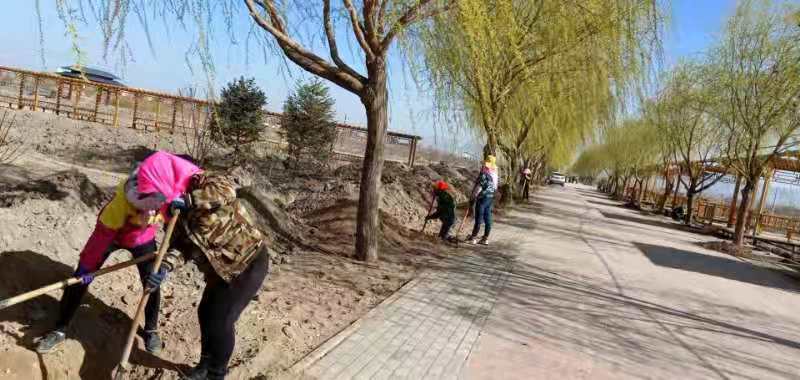 1618207018252853.jpg 植树 (1).jpg