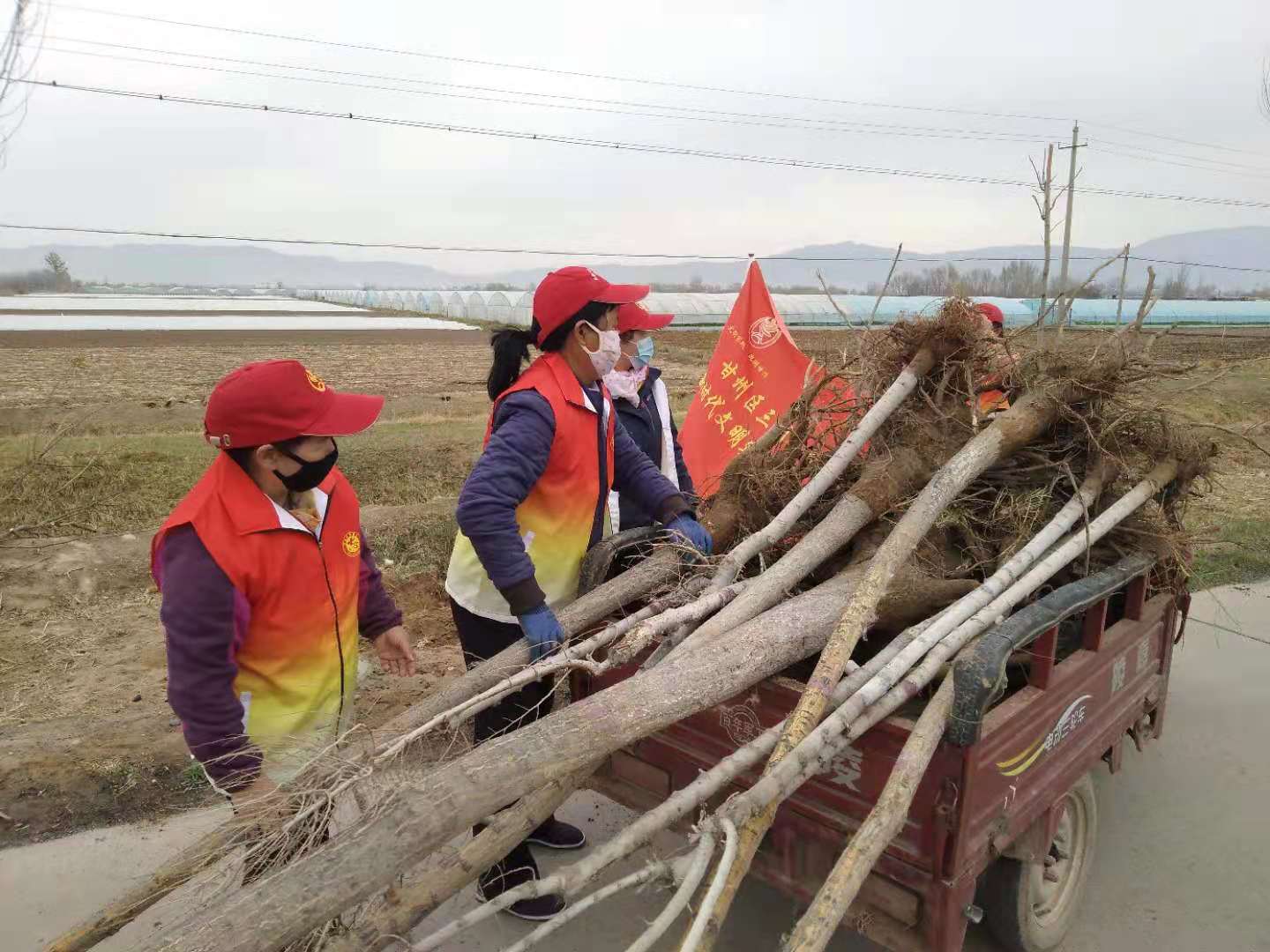 1618207033498540.jpg 植树 (2).jpg