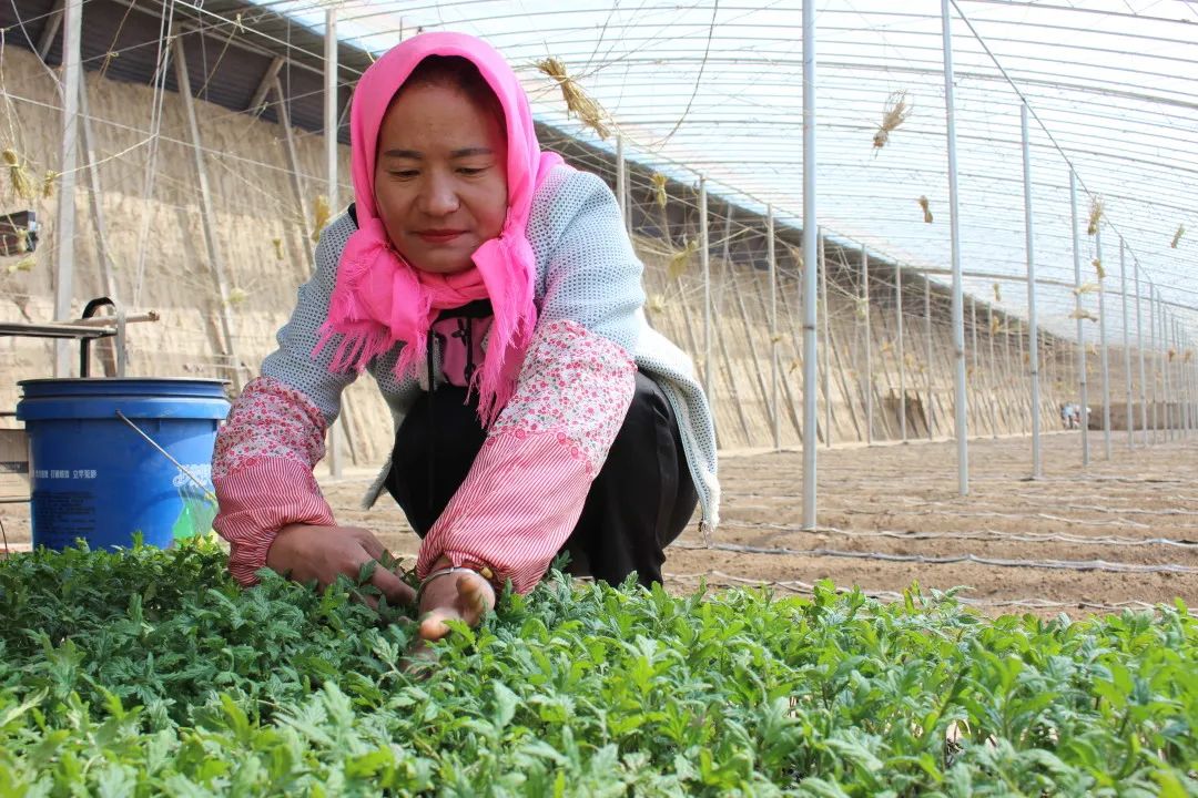 1619313770543300.jpg 1122.jpg