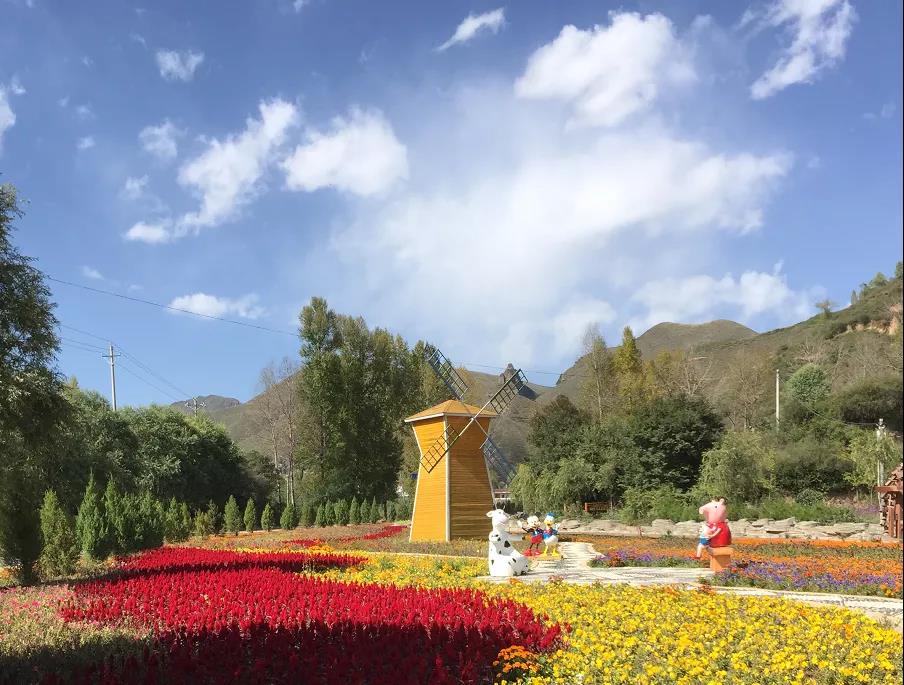 1633656381450115.jpg 1633656381450115.jpg