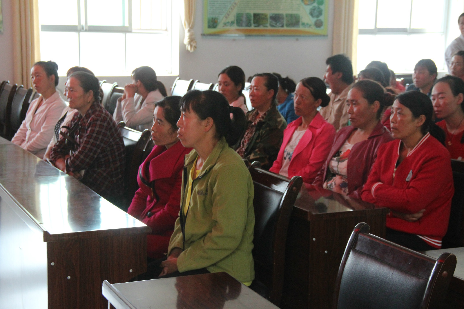 IMG_7952.JPG IMG_7952.JPG