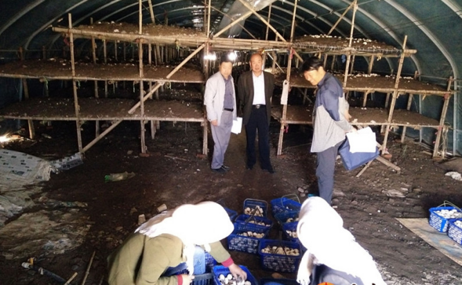 新天镇12.131.png 新天镇12.131.png