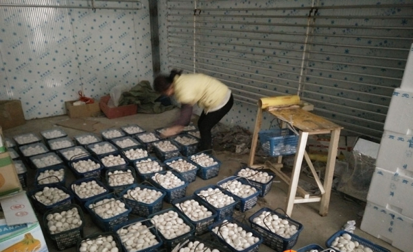 新天镇12.13.png 新天镇12.13.png