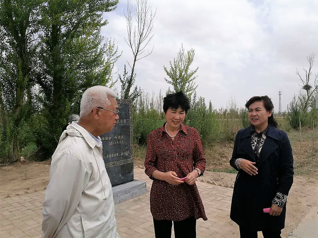 新建文件夹IMG_7291.JPG