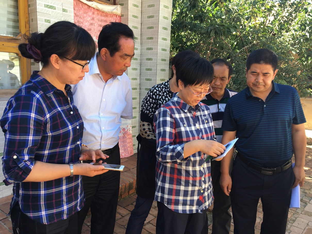 IMG_6894.JPG IMG_6894.JPG