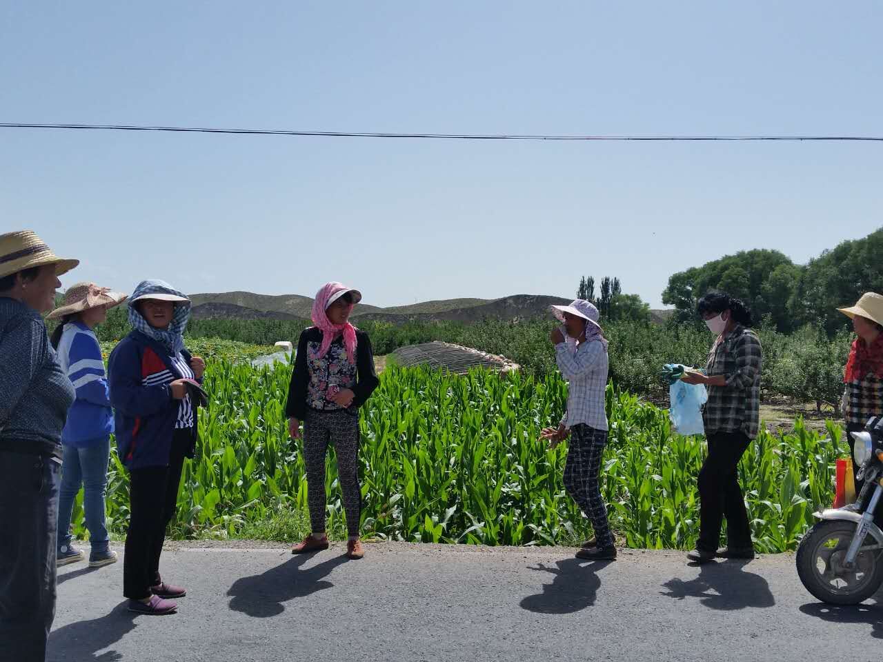 扶持宝积镇大湾村发展苹果产业2.jpg 扶持宝积镇大湾村发展苹果产业2.jpg