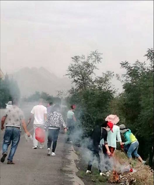 图片3.jpg 图片3.jpg