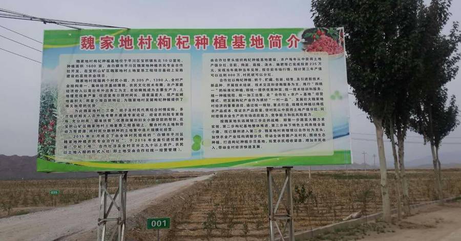 图片8.jpg 图片8.jpg