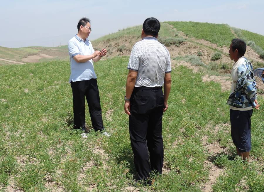 图片16.jpg 图片16.jpg