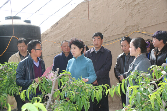 QQ截图20170309103028.jpg QQ截图20170309103028.jpg